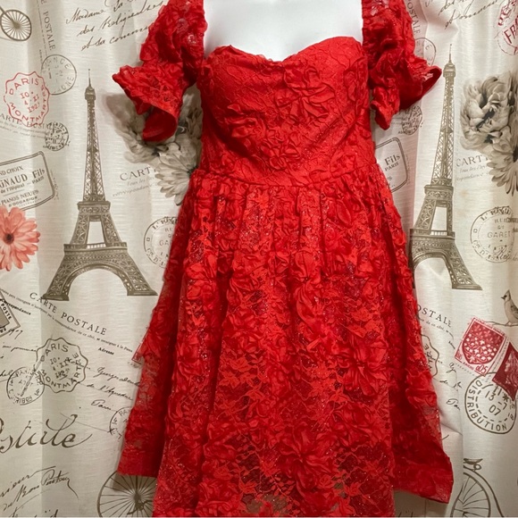 Red Lace Dress for Valentines or that special date - Picture 3 of 12